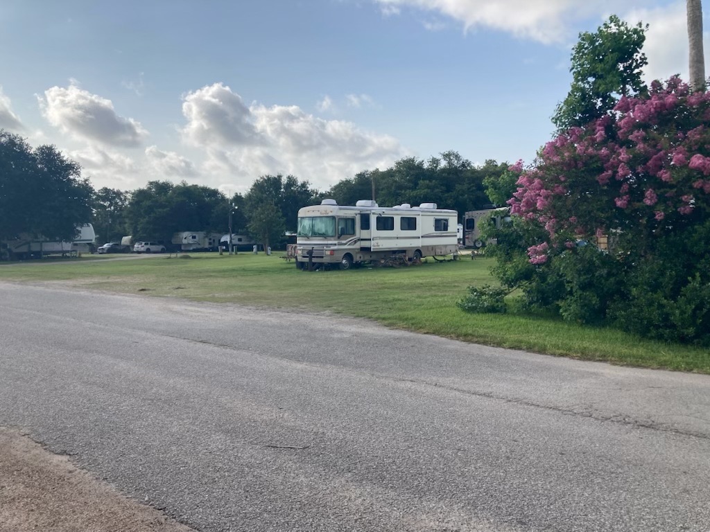 Motorhome on a grassy site beside blooming crepe myrtle