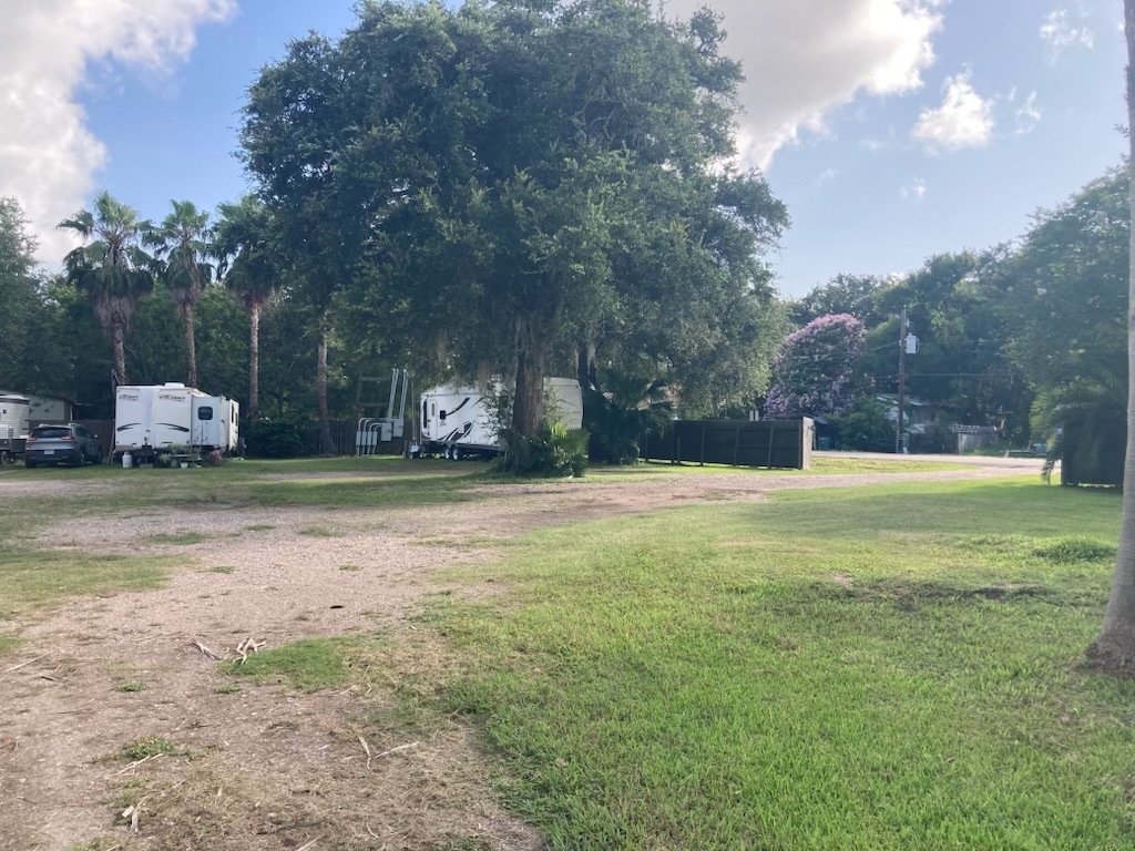 Shaded RV sites under palms and live oaks at Windswept RV Park