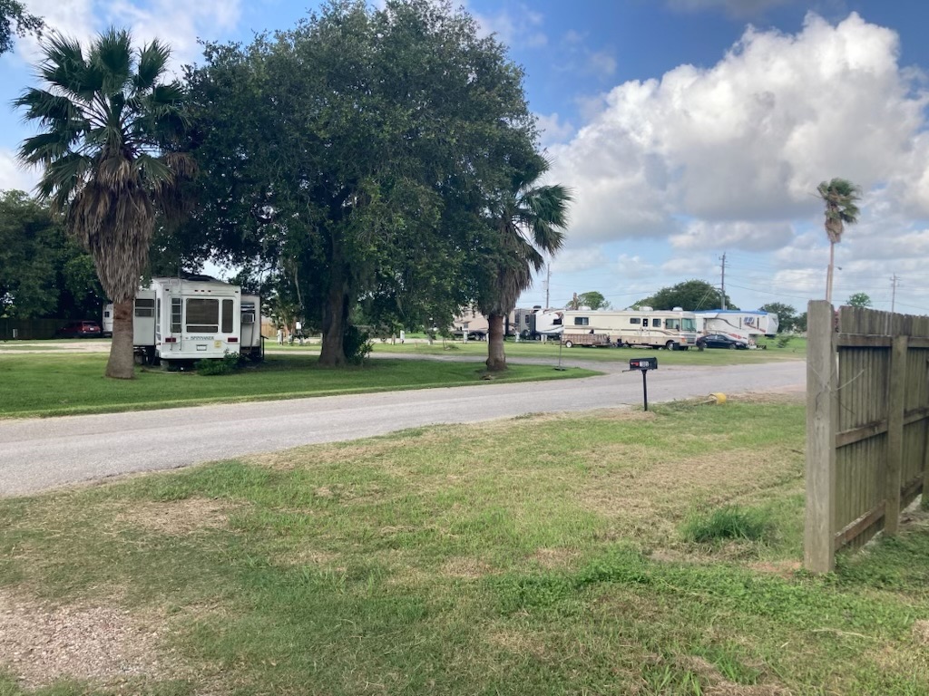 Palm-lined RV sites along the park lane